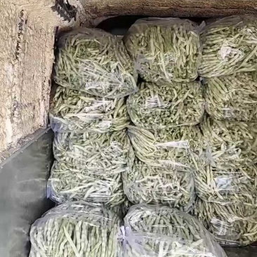 山东优质九粒白芸豆，老来少芸豆大量上市，产地大量供应