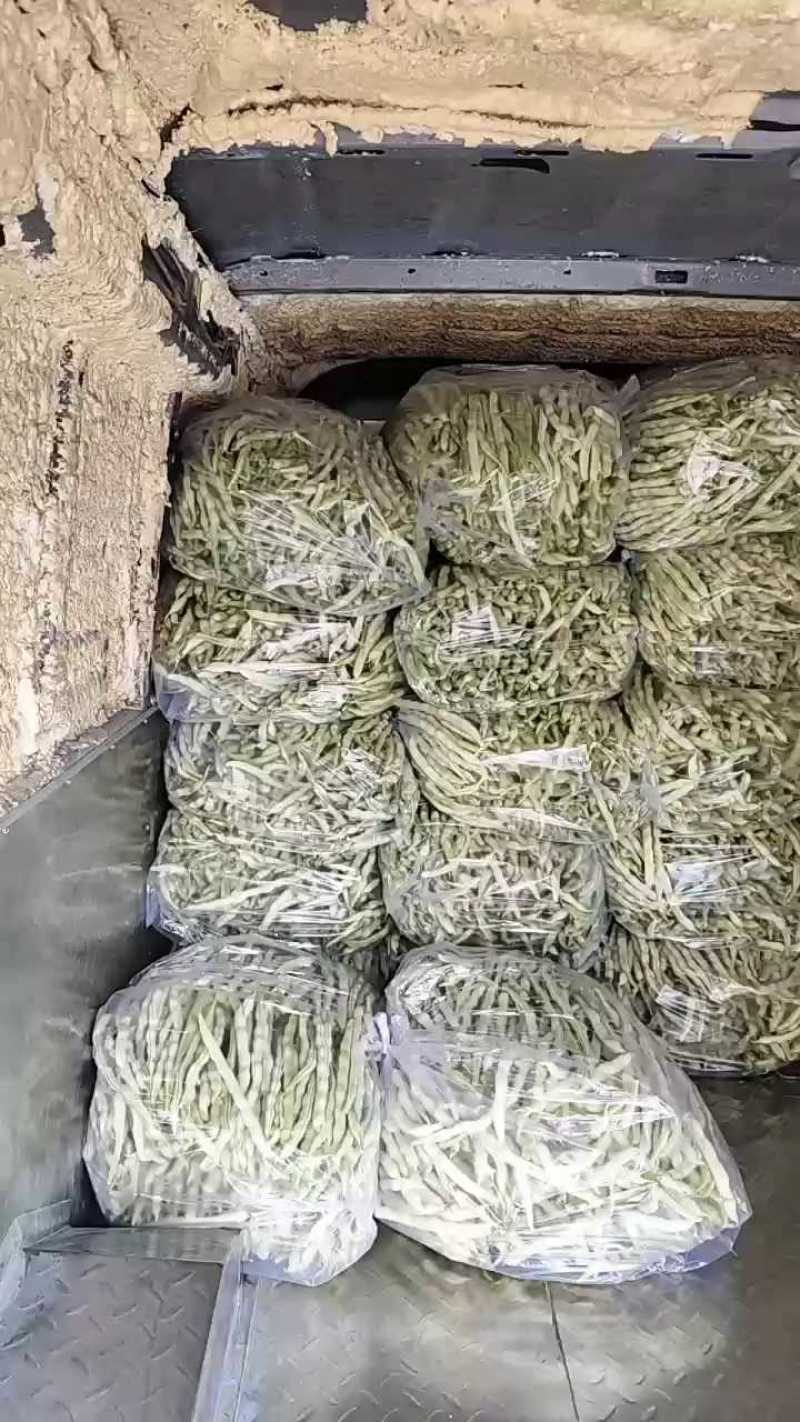 山东优质九粒白芸豆，老来少芸豆大量上市，产地大量供应