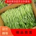 茼蒿精品茼蒿新鲜现采基地直供品质保障