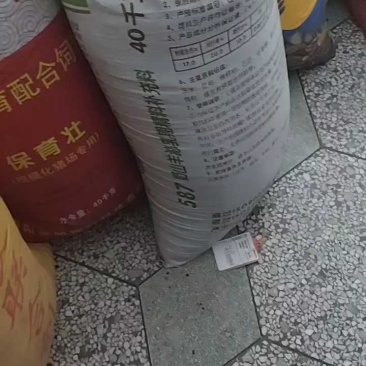 云木香种子纯新货供应中！发芽率95%.对接全国