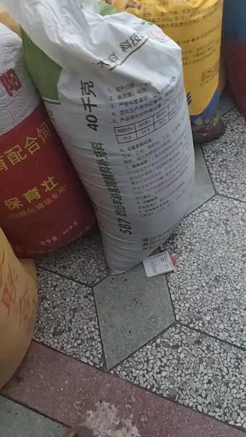 云木香种子纯新货供应中！发芽率95%.对接全国