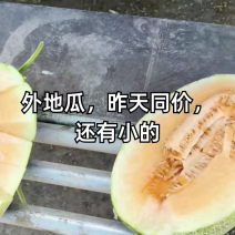 海南西瓜哈密瓜优质晓密25号一手直发货源充足诚信经营