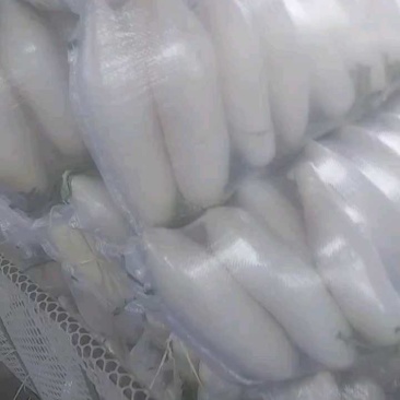 四川白萝卜装车中，三毛一斤，一斤半到两斤重！