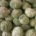 汉中包菜装车中，物美价廉，欢迎联系！