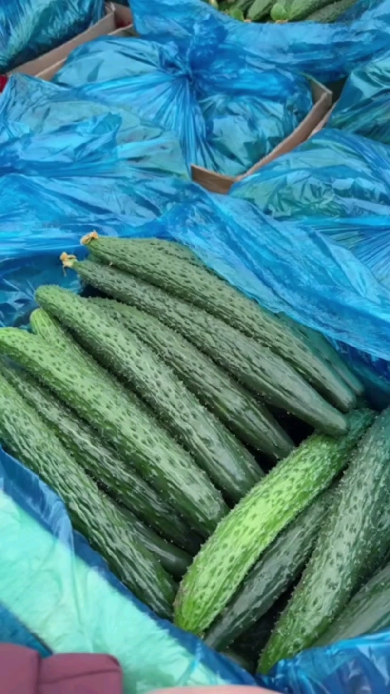 铜货上货，质量杠杠的，提前预订！