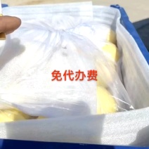 南果梨