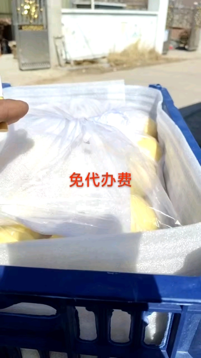 南果梨