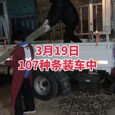 107杨树种条鲁林9号杨树种条扦插条扦插段扦插苗