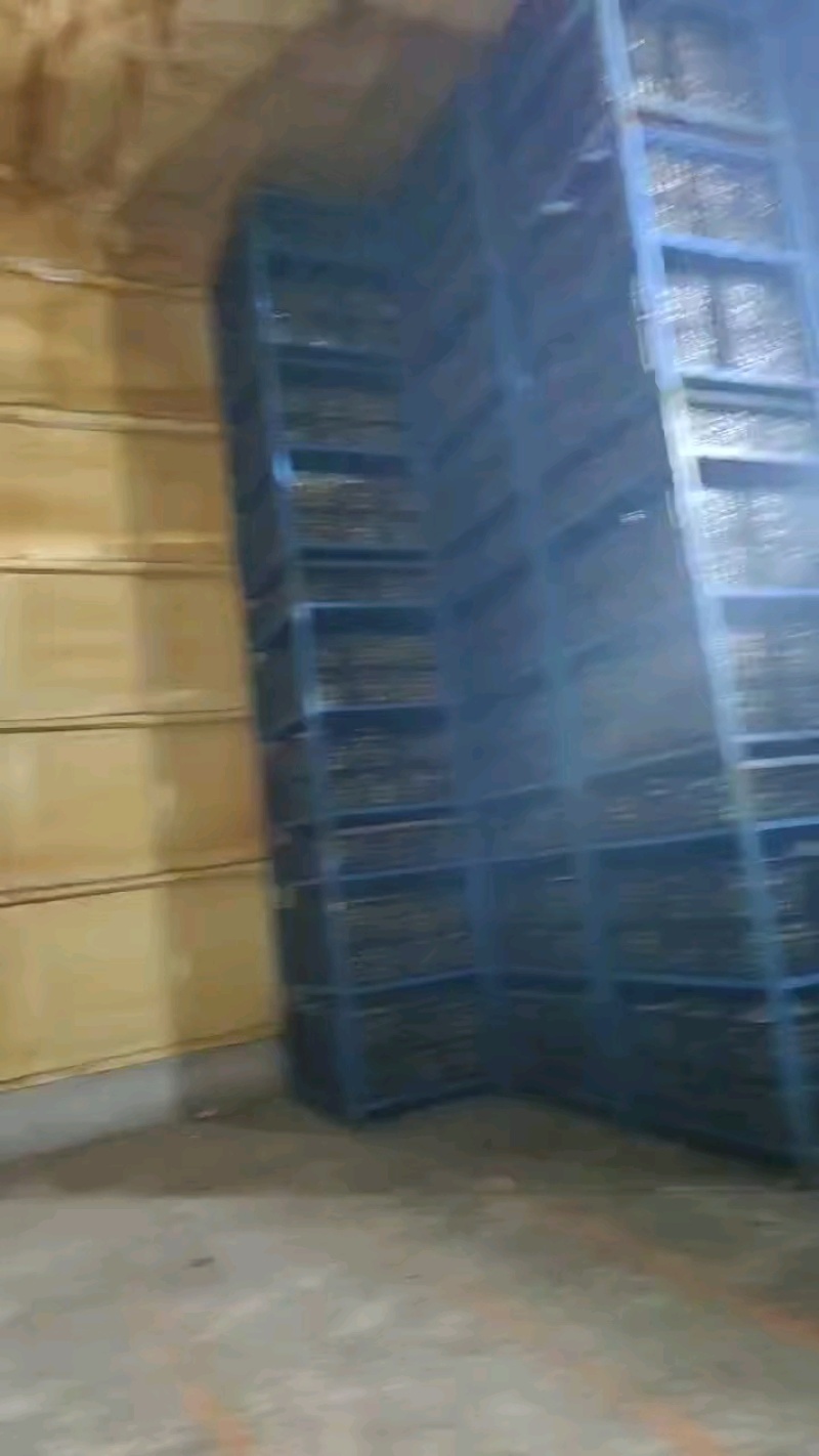 冰糖心红富士，一手货源，产区直供，火爆热销！