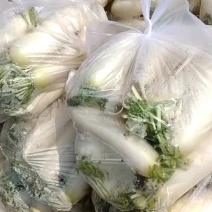 精品白萝卜