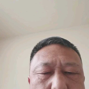 罗汉参