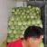 牛心甘蓝