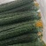 密刺黑条鲜花带刺，河南产区，今日价1.7元。