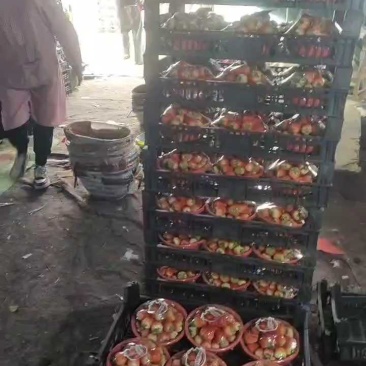 妙香草莓，基地直发！量大价优，保质保量欢迎随时联系看货