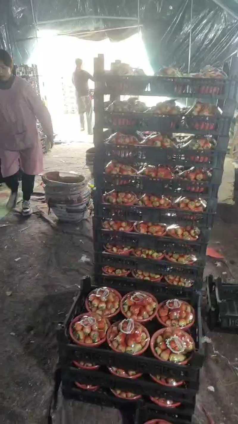 妙香草莓，基地直发！量大价优，保质保量欢迎随时联系看货