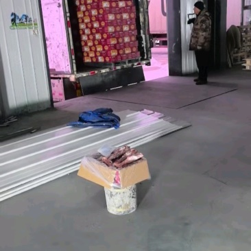 羔羊后腱子：内蒙草原羔羊后小腿，带拐筋！速冻保鲜，冷库直