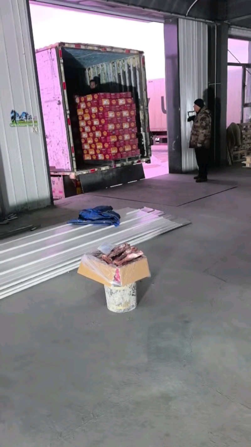 羔羊后腱子：内蒙草原羔羊后小腿，带拐筋！速冻保鲜，冷库直