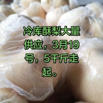 礼泉酥梨，大量现货供应，规格齐全，价格可谈，欢迎电联