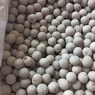 新货桂圆干厂家直供一手货源对接美团抖音快手视频号电商平台