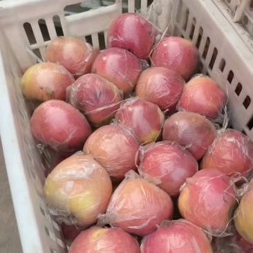 精品红富士苹果，脆甜黄瓤，全国代发
