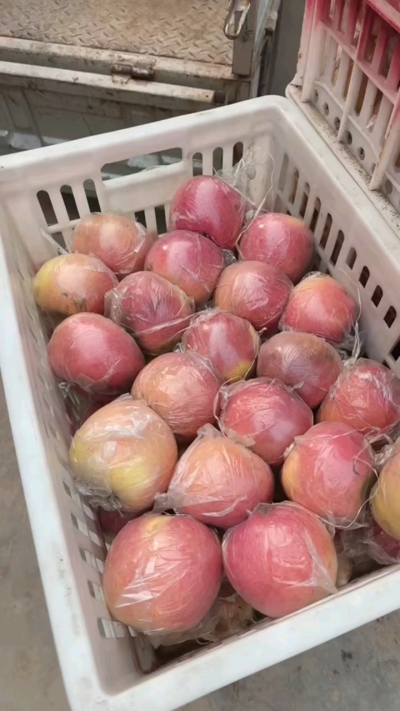 精品红富士苹果，脆甜黄瓤，全国代发