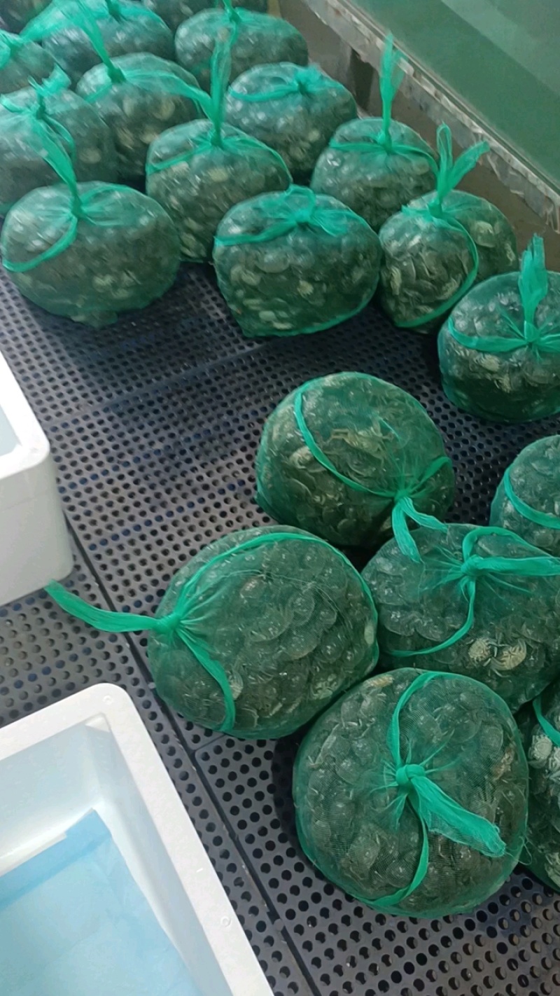 养殖蟹苗，油炸小螃蟹，放生苗，保证品质，一件也代发