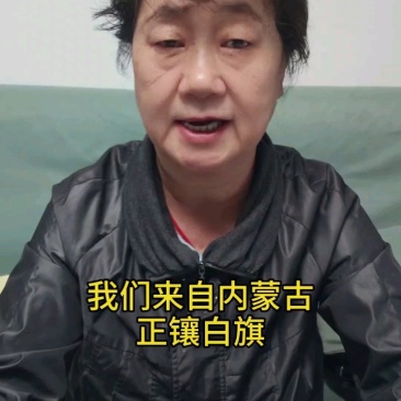 内蒙古食葵7万斤现货，一公斤10元，颗颗饱满！