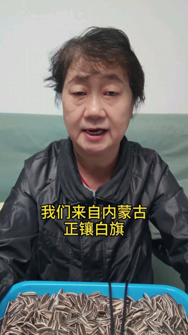 内蒙古食葵7万斤现货，一公斤10元，颗颗饱满！