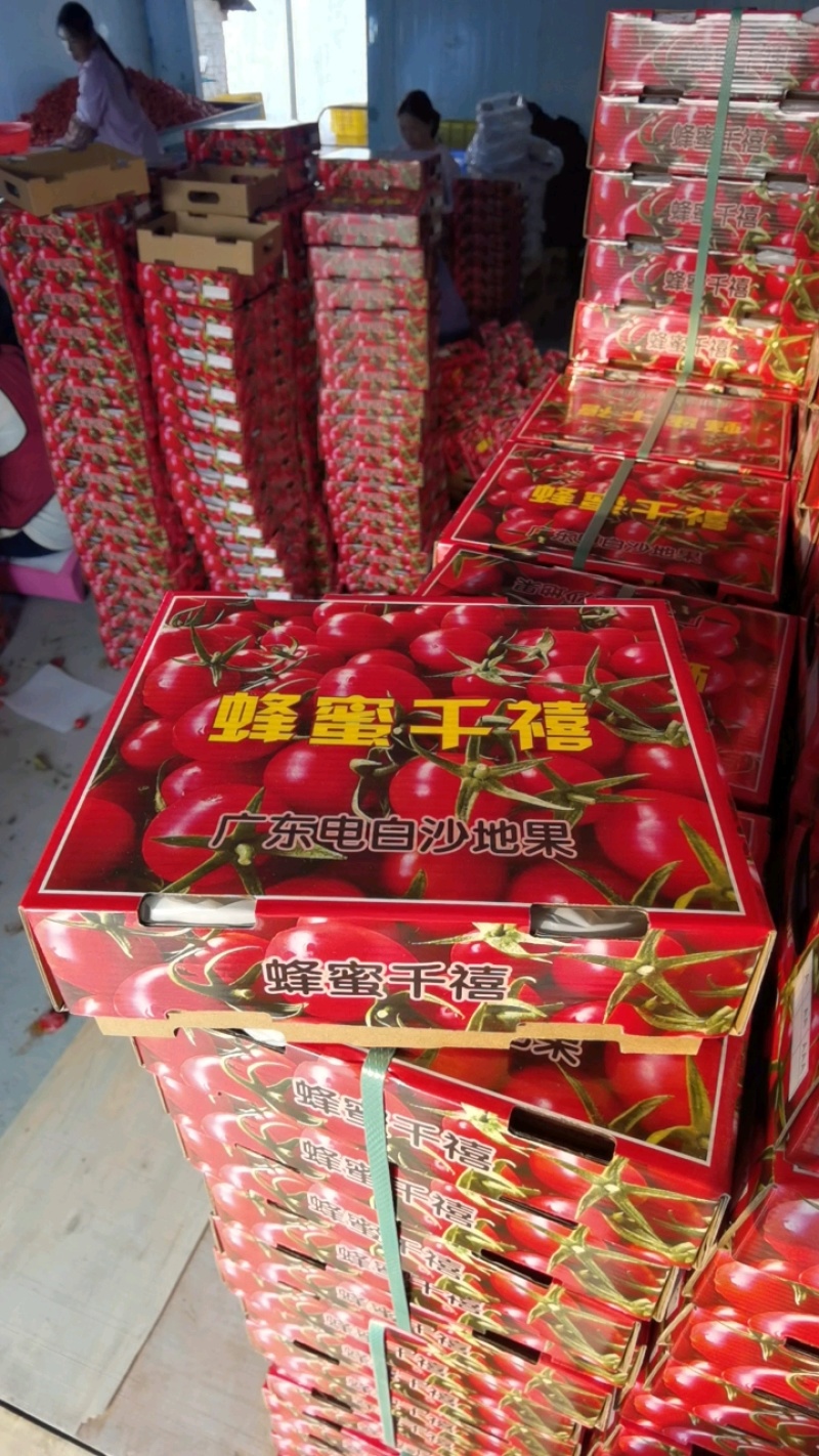 千禧果圣女，精品礼盒，电商代发，落地配，社区团购大量现货