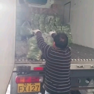 两天一车，好菜热卖中！