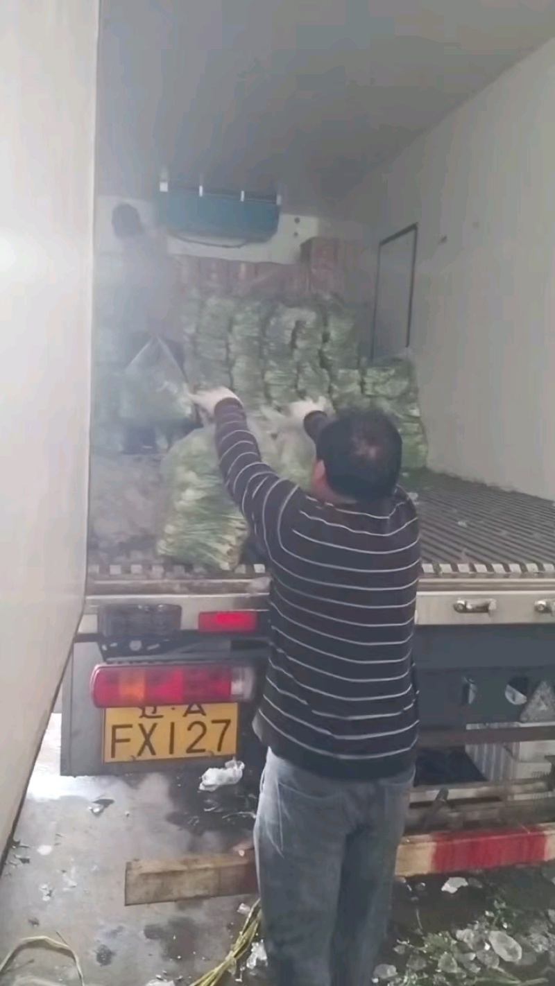 两天一车，好菜热卖中！