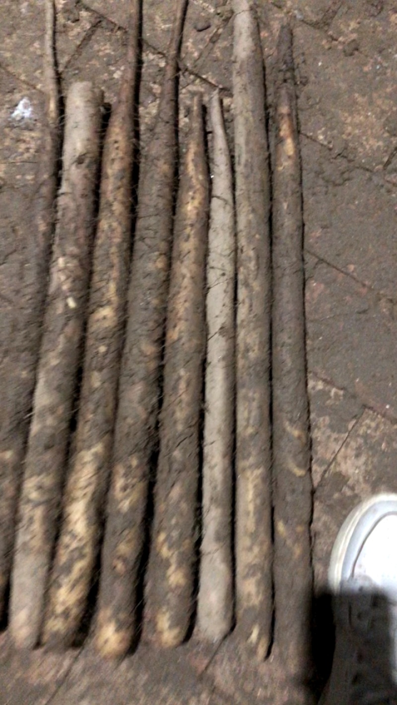 紫药