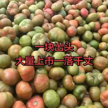 拉维纳
