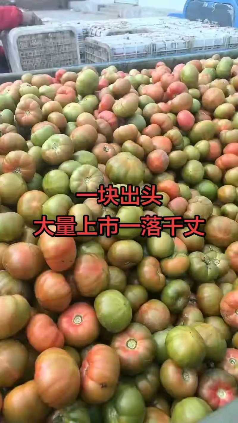 拉维纳