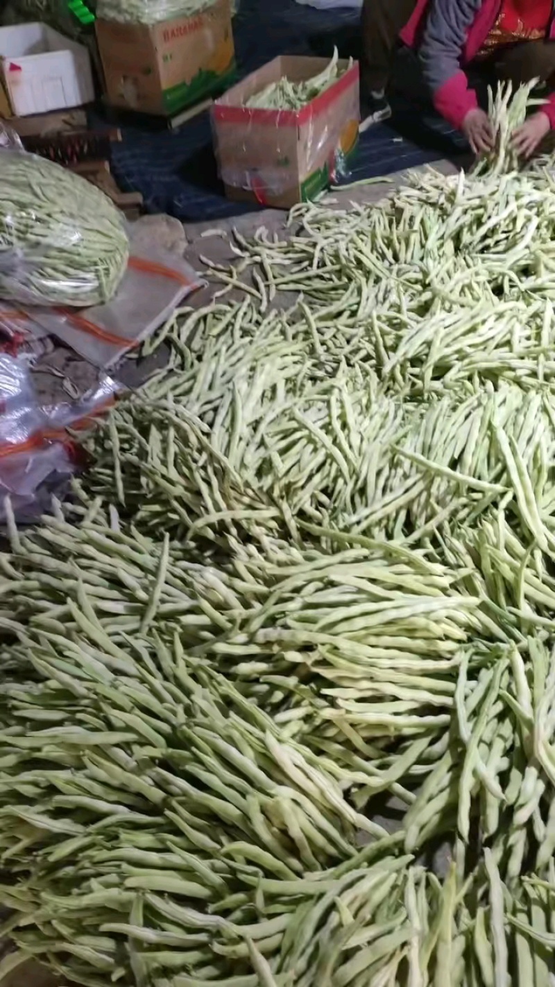 山东临沂芸豆产地市场批发九粒白质量有保障