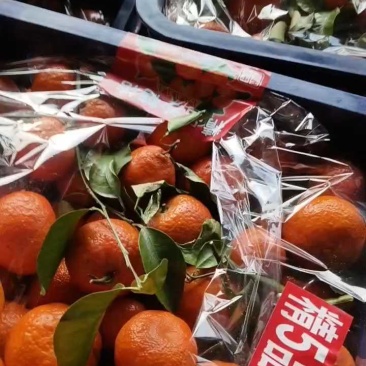 沙糖桔降价，一块三包上车，大量有货！