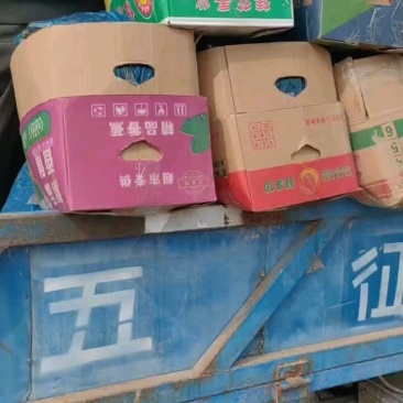 【密刺黄瓜】精品黄瓜产地直销瓜条长且直诚信服务