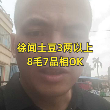 土豆
