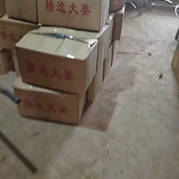 四川2000斤小黄姜种，价格不高质量好！