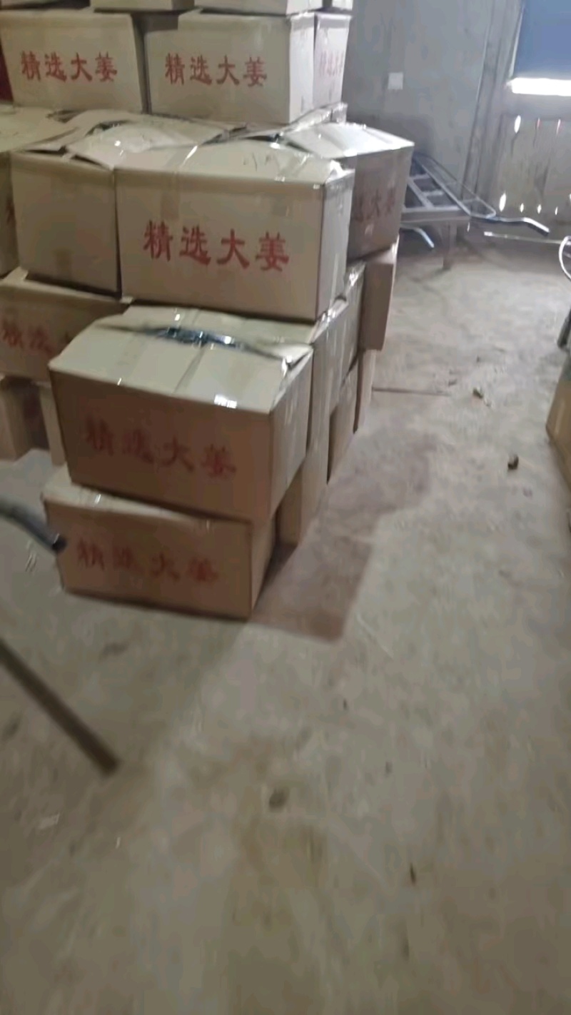 四川2000斤小黄姜种，价格不高质量好！