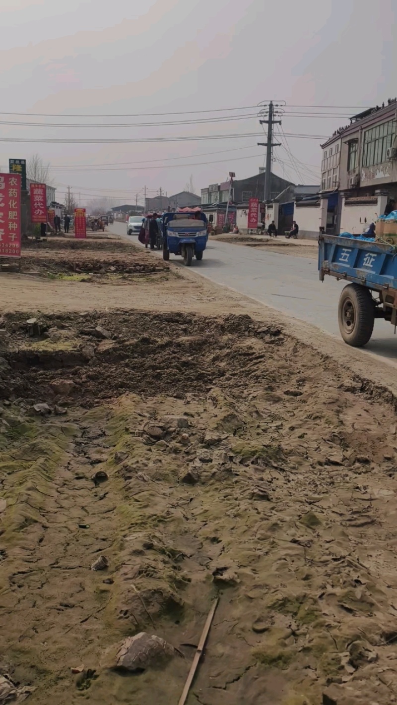 河南万亩黄瓜基地大量上市，电商货，市场货欢迎咨询洽谈。