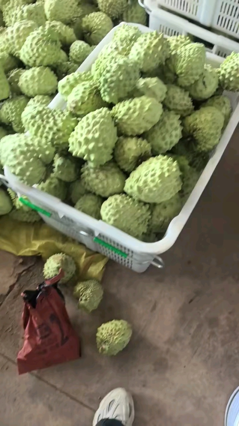 新鲜牛奶释迦果凤梨释迦果特大新鲜佛头果当季热带水果