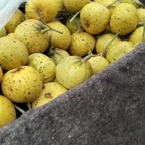花冠口感特别好，价格不高