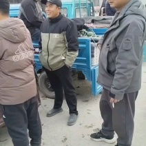 本地小西瓜货量充足，市场到货满满！