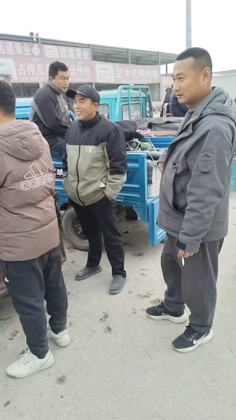 本地小西瓜货量充足，市场到货满满！