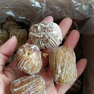 无工去核蜜枣金丝蜜枣厂家直供一手价格品质好电商代发