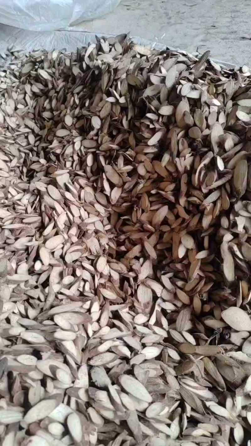 千斤拔广西正宗红皮切片