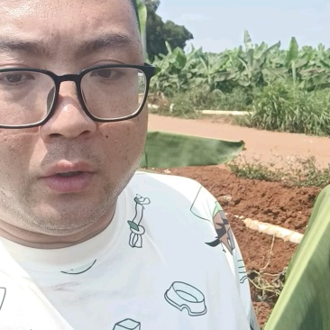 板栗南瓜产地直供，货源充足价格不贵！