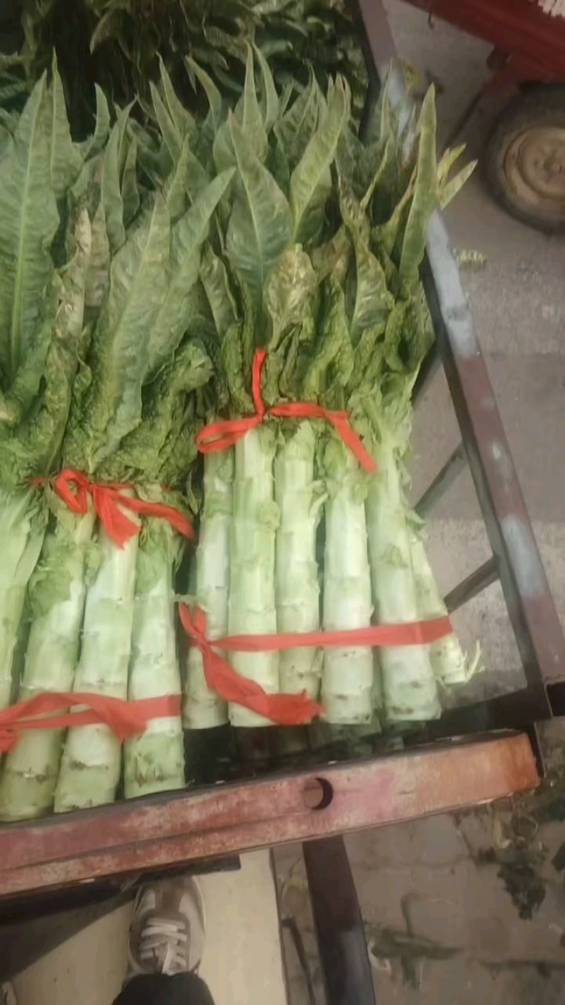 【热卖】精品莴笋，产地直发，欢迎进店，咨询选购。