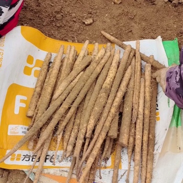山药铁棍山药规格齐全精挑细选好货对接全国量大从优